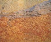 Vincent Van Gogh Wheat Field behind Saint-Paul Hospital with a Reaper (nn04)